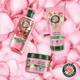 Herbal essences Rose Scent Petal Soft poklon set (za žene) | shoptok.hr