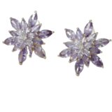  Naušnice FA-28221 - Ljubičasta KP28221 | shoptok.hr