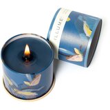 ILLUME x Bloomingville Dišeča sveča čas gorenja 50 h Citrus Crush – | Shoptok.si
