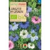 Samen Maier BIO črnika - mešanica Cene