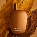 Comme des Garçons Copper parfumska voda uniseks 100 ml | Shoptok.si