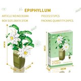 Magaza Ukrasna biljka Epiphyllum Grandiflorum kocke 548 pcs 55954 | Eponuda.com