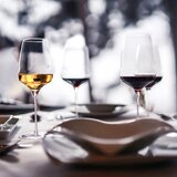 Stolzle Kelih za belo vino Cocoon 480ml / steklo, (5000198086) | Shoptok.si
