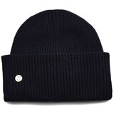 Tommy Hilfiger AW0AW13820DW6 Crna Cijene