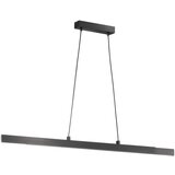Fischer & Honsel Črna LED zatemnitvena viseča svetilka Stripe – Cene