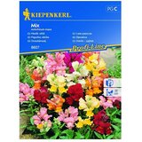 KIEPENKERL Sjeme cvijeća Zijevalica Mix (Antirrhinum majus, Raznobojno) | shoptok.hr