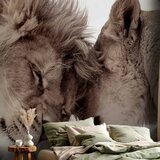  Foto tapeta - Lion Tenderness (Sepia) 400x280 Premium | shoptok.hr