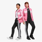 Adidas J 3s tib fl ts | Eponuda.com