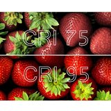  LED sijalica E14/6W/230V 2700K CRI 96 Ra | Eponuda.com