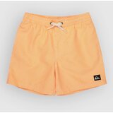 Quiksilver Everyday Deluxe Volley 14 Kids Boardshorts radiant yellow | Shoptok.si