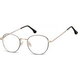 Berkeley naočare za kompjuter M298B | ePonuda.com