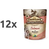 Carnilove dog puppy - losos & borovnica, vrečka 300g 12 x 300 g Cene