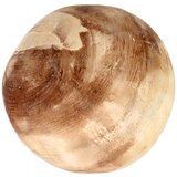 Signes Grimalt Kipci in figurice Dekorativna Kroglica Kostanjeva | Shoptok.si
