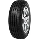 235/55R19 105W XL EcoSport SUV