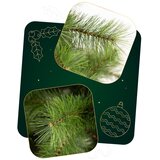  CT0276 NORDIJSKI BOR 150 CM | shoptok.hr