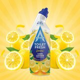 Astonish Gel čistač sanitarija Limun 750 ml Cene
