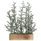 Deco wood, drvo u saksiji, sa sijalicama, 50cm ( 753030 ) Cene
