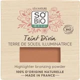 teint Divin Bronzer