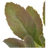 Ixia Umjetna grančica (visina 37 cm) Lemon Tree – | shoptok.hr