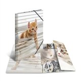 Herma Mapa s elastičnom gumicom A3 PP Glossy mace | shoptok.hr