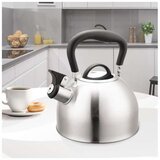 Maestro Čajnik sa zviždukom MR1336, 1.9l, Inox Cene