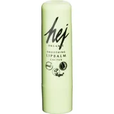 smoothing lip balm cactus