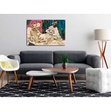  Slika za samostalno slikanje - Lady Cat 60x40 | shoptok.hr