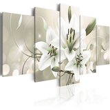  Slika - Celadon Beauty 200x100 Cijene