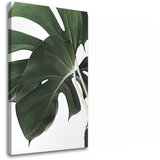  Slike na platnu biljke 010 (moderne slike na platnu) | ePonuda.com