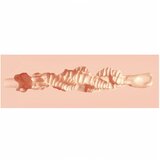 XKIN - realistični umetni vagina masturbator - S (naravna barva) | Shoptok.si