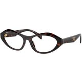 Prada PRA21V 17N1O1 M (53) Havana/Kristalna | Shoptok.si