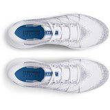 Under Armour Women's shoes W Charged Speed SwiftT | Shoptok.si