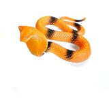  Gumijasta kača Oranžna | Shoptok.si