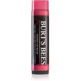 Burt's Bees Tinted Lip Balm balzam za usne nijansa Hibiscus 4.25 g Cijene