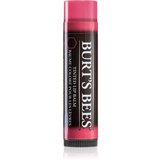 Burt's Bees Tinted Lip Balm balzam za ustnice odtenek Hibiscus 4.25 g | Shoptok.si
