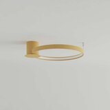  Stropna svetilka RIO 55 golden LED 3000K, (21347460) | Shoptok.si