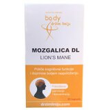 Body držim liniju Mozgalica DL | Eponuda.ba