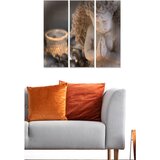 WALLXPERT Set slika MDF3840264, 3 dijela | Eponuda.ba
