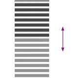 vidaXL idaXL Zebra senčilo črna 95x200 cm tkanina širina 90,9 cm poliester | Shoptok.si