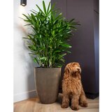 Capi Vaza elegant Groove 34x46 črna in zlata, (20981064) | Shoptok.si