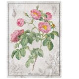 Puzzle 1000 KOM TUBA BOTANIC ROSE INTERDRUK | shoptok.hr