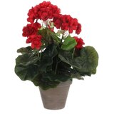 Mömax Umetna Rastlina Greta | Shoptok.si