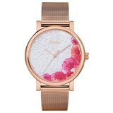 Timex Analogne ure ty577100 pisana Cene