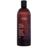 Ziaja Fig Shampoo 500 ml šampon za normalne lase za ženske