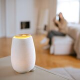 Truelife AIR Diffuser D8 ultrazvučni raspršivač mirisa i ovlaživač zraka 1 kom | shoptok.hr