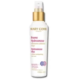 Hydrosmose Hidrantni mist, 100 ml