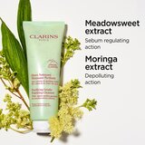 Clarins Purifying Gentle Foaming Cleanser nežna čistilna penasta krema 125 ml | Shoptok.si