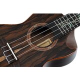 AUDIO KONDRIC Ukulele Ortega RUET-ZC+Torba - - Audio-Kondric | Shoptok.si