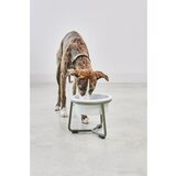 MiaCara Porculanska posuda s postoljem za pse ø 20 cm Pranzo Grolive M – | shoptok.hr