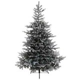  Novogodišnja jelka Grandis fir snowy 180cm-132cm Everlands | ePonuda.com
